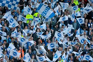 Brighton and Hove Albion Fans in Play-Off Frenzy: Sky Bet Championship Clash vs. Sheffield Wednesday (16MAY16)