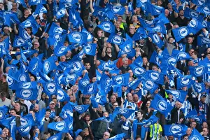 Sheffield Wednesday Play-off 2nd Leg 16MAY16 Prints: Brighton and Hove Albion Fans in Play-Off Frenzy: Sky Bet Championship Clash vs