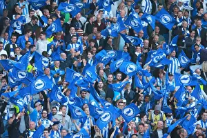 Brighton and Hove Albion Fans in Play-Off Frenzy: Waving Flags Against Sheffield Wednesday (16 May 2016)