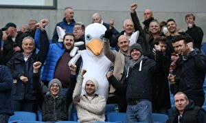 Images Dated 8th November 2014: Brighton and Hove Albion Fans with Seagull Celebrating at American Express Community Stadium vs