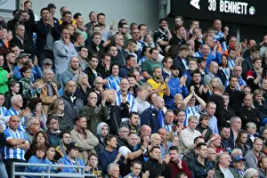 Brighton & Hove Albion Fans in Full Swing at American Express Community Stadium during SkyBet Championship Match vs. Rotherham United (October 2014)