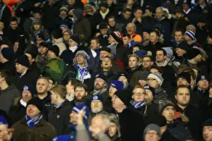 Fulham 29DEC14 Prints: Brighton and Hove Albion Fans in Full Throat at Fulham's Craven Cottage (29DEC14)
