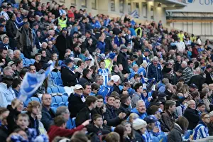 Brighton and Hove Albion Fans in Full Throat: Sky Bet Championship Showdown vs. AFC Bournemouth (10APR15)