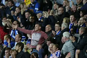 Bournemouth 01NOV14 Prints: Brighton & Hove Albion Fans Triumph: Celebrating at the SkyBet Championship Match vs