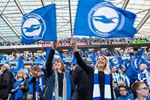 Images Dated 16th May 2016: Brighton and Hove Albion Fans Unite: Play-Off Tension Against Sheffield Wednesday (16 May 2016)