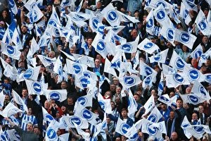 Images Dated 16th May 2016: Brighton and Hove Albion Fans Unite: Play-Off Tension at Sky Bet Championship Clash vs