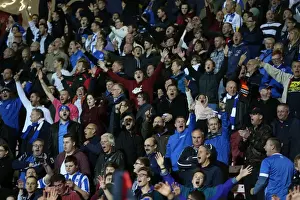 Bournemouth 01NOV14 Prints: Brighton and Hove Albion Fans Unite at American Express Community Stadium During SkyBet Championship Match vs