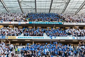 Brighton and Hove Albion Fans Unite: Play-Off Tension at American Express Community Stadium (16MAY16)