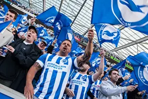 Sheffield Wednesday Play-off 2nd Leg 16MAY16 Prints: Brighton and Hove Albion Fans Unite: Play-Off Tension at American Express Community Stadium (16MAY16)