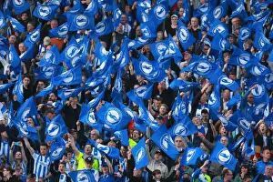 Brighton and Hove Albion Fans Unite: Play-Off Tension at American Express Community Stadium (16MAY16)