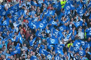 Brighton and Hove Albion Fans Unite: Play-Off Tension at American Express Community Stadium (16MAY16)