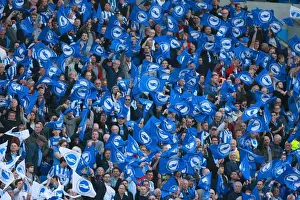 Brighton and Hove Albion Fans Unite: Play-Off Tension at American Express Community Stadium (16MAY16)