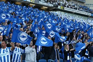 Sheffield Wednesday Play-off 2nd Leg 16MAY16 Prints: Brighton and Hove Albion Fans Unite: Play-Off Tension at the Sky Bet Championship (16May16) - Brighton vs