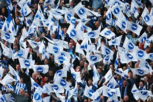 Brighton and Hove Albion Fans Unite: Play-Off Tension at Sky Bet Championship Clash vs. Sheffield Wednesday (16 May 2016)
