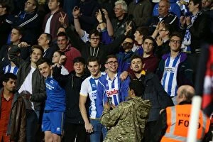 Images Dated 1st November 2014: Brighton & Hove Albion Fans United: SkyBet Championship Showdown at American Express Community