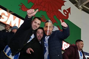 Images Dated 10th February 2015: Brighton and Hove Albion Fans Unwavering Support at Cardiff City Stadium, Sky Bet Championship 2015