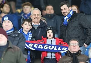 Images Dated 14th February 2015: Brighton and Hove Albion Fans' Unwavering Support at Sheffield Wednesday Championship Clash