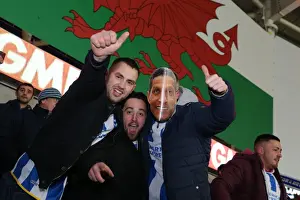Cardiff City Prints: Brighton and Hove Albion Fans Unwavering Support at Cardiff City Stadium