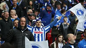 Fac Sf Prints: Brighton and Hove Albion Fans Unwavering Support at the FA Cup Semi-Final vs Manchester City