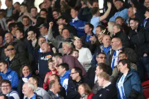 Middlesbrough 02MAY15 Prints: Brighton and Hove Albion Fans Unwavering Support at Middlesbrough Championship Match
