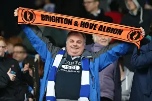 Brighton and Hove Albion Fans Unwavering Support at Sheffield Wednesday Championship Match, 14 February 2015