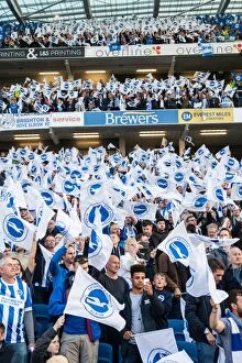 Images Dated 16th May 2016: Brighton and Hove Albion Fans Wave Flags in Play-Off Tension (16May16)