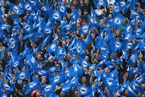 Images Dated 16th May 2016: Brighton and Hove Albion Fans Wave Flags in Play-Off Tension (16MAY16)