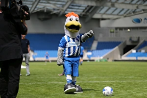 Prints of Young Seagulls Open Training Session 31st July 2015. Albion fans, penalty shootout with Capser Ankergren, Gully Pre-Season Prints: Brighton & Hove Albion FC