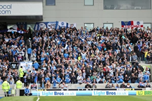 Brighton and Hove Albion FC: Euphoric Fans Celebrate Championship Victory over Wigan Athletic (17th April 2017)