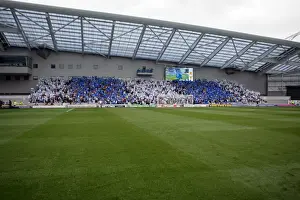 Spurs And Doncaster Collections Prints: Brighton & Hove Albion FC: 2011-12 Home Matches - Spurs and Doncaster