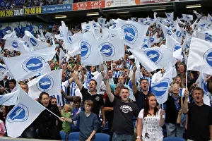 Brighton & Hove Albion FC: 2011-12 Home Matches - Spurs and Doncaster