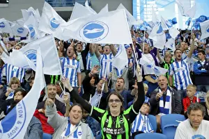 Brighton & Hove Albion FC: 2011-12 Home Matches - Spurs and Doncaster
