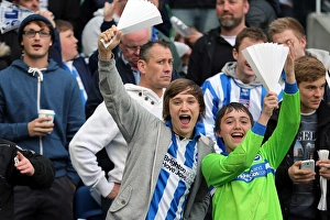 Crowd Shots At The Amex 2012-13 Prints: Brighton & Hove Albion FC: The Electric Atmosphere of the Amex Stadium (2012-2013) - Unforgettable Crowd Moments