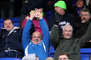 Brighton and Hove Albion FC: Away Days 2012-13 - A Sea of Supporters