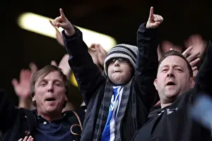 Brighton & Hove Albion FC: Crowd Scenes at Charlton Athletic (Away Match, October 16, 2010)