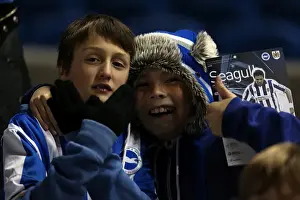 Bristol City - 27-11-2012 Prints: Brighton & Hove Albion FC: The Electric Amex Stadium Crowd (2012-2013)