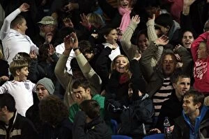 Images Dated 10th November 2011: Brighton & Hove Albion FC: Electric Atmosphere at The Amex (2011-12)
