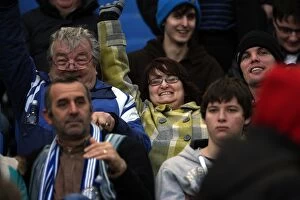 Images Dated 26th November 2011: Brighton & Hove Albion FC: Electric Atmosphere at The Amex (2011-12) - Crowd Shots