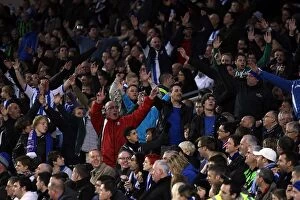 Images Dated 26th November 2011: Brighton & Hove Albion FC: Electric Atmosphere at The Amex (2011-12) - Crowd Shots