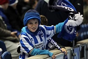 Images Dated 11th March 2001: Brighton & Hove Albion FC: The Electric Atmosphere of Amex Stadium (2012-2013) - Crowd Shots