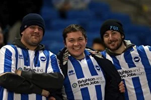 Images Dated 18th December 2012: Brighton & Hove Albion FC: Electric Atmosphere at the Amex (2012-2013)