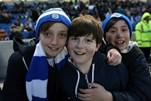 Images Dated 9th February 2013: Brighton & Hove Albion FC: Electric Atmosphere - The Amex Stadium Crowd Shots (2012-2013)