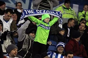Images Dated 27th May 2001: Brighton & Hove Albion FC: Electric Atmosphere at The Amex (2012-2013)