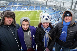 Images Dated 23rd February 2013: Brighton and Hove Albion FC: Electric Atmosphere - Crowd Shots from The Amex Stadium (2012-2013)