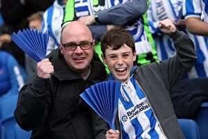 Images Dated 13th May 2013: Brighton & Hove Albion FC: Electric Atmosphere - Unforgettable Crowd Moments at the Amex Stadium