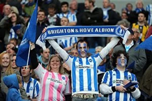 Images Dated 13th May 2013: Brighton & Hove Albion FC: Electric Atmosphere at The Amex (2012-2013) - Crowd Shots