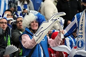 Images Dated 13th May 2013: Brighton & Hove Albion FC: Electric Atmosphere at The Amex (2012-2013)