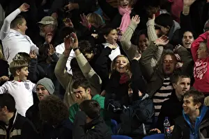 Crowd Shots At The Amex 2011-12 Prints: Brighton & Hove Albion FC: Electric Atmosphere at The Amex (2011-12)