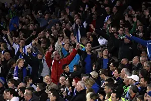 Crowd Shots At The Amex 2011-12 Prints: Brighton & Hove Albion FC: Electric Atmosphere at The Amex (2011-12) - Crowd Shots