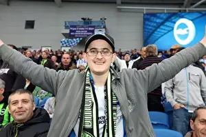 Crowd Shots At The Amex 2011-12 Prints: Brighton & Hove Albion FC: Electric Atmosphere at the Amex (2011-2012) - Crowd Shots